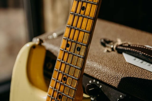 guitar showing fret markers guitar showing fret markers