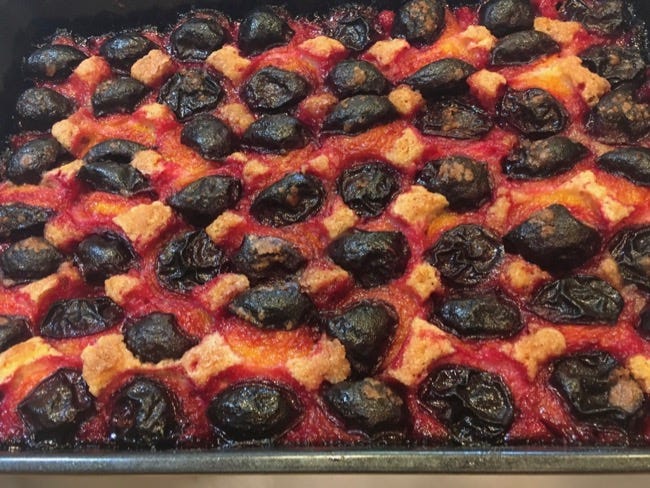 Greg Patent The Baking wizard