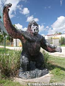 FLOCHskunkape_0752.jpg