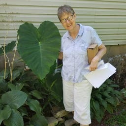 Susan B's Newsletter