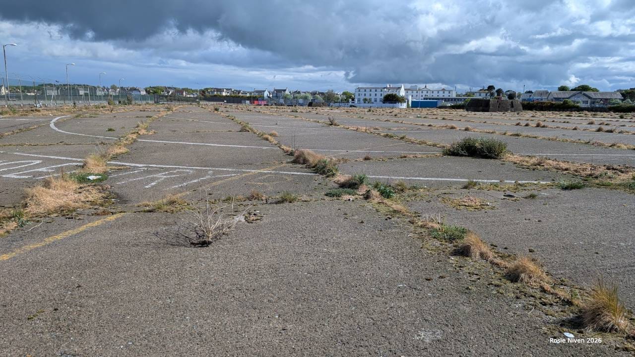 Derelict stretches of tarmac with weeds where the cars used to wait to board at Stranraer Derelict stretches of tarmac with weeds where the cars used to wait to board at Stranraer