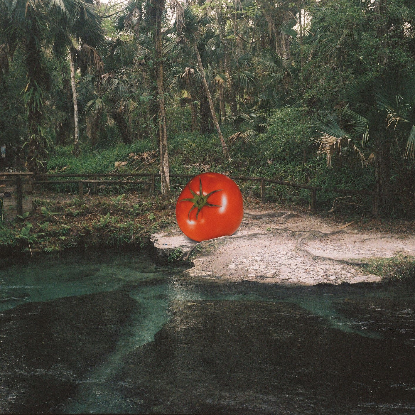 I Just Can't Wait To Die". Album of Yawn Mower buy or stream. | HIGHRESAUDIO