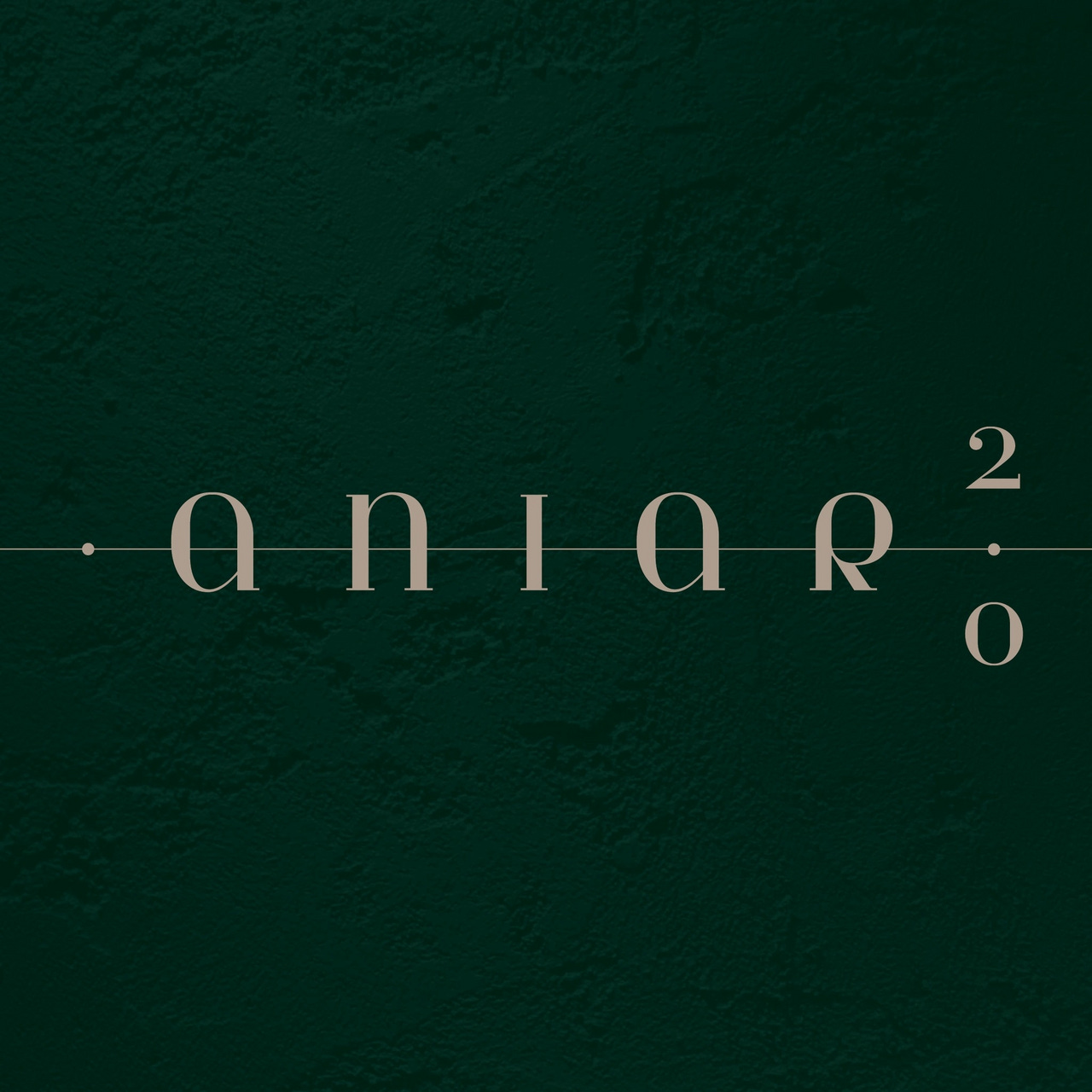 Investigations of Irish food