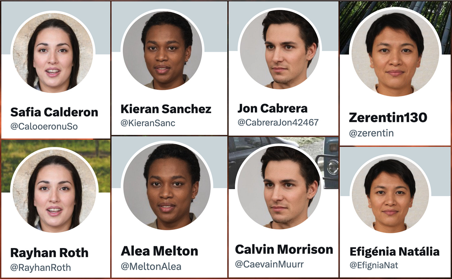 screenshots of the profiles of 8 of the spam accounts, showing that 4 of the GAN-generated faces are used twice screenshots of the profiles of 8 of the spam accounts, showing that 4 of the GAN-generated faces are used twice