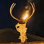 Torna Braggison's avatar