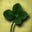 J. Murphy's avatar