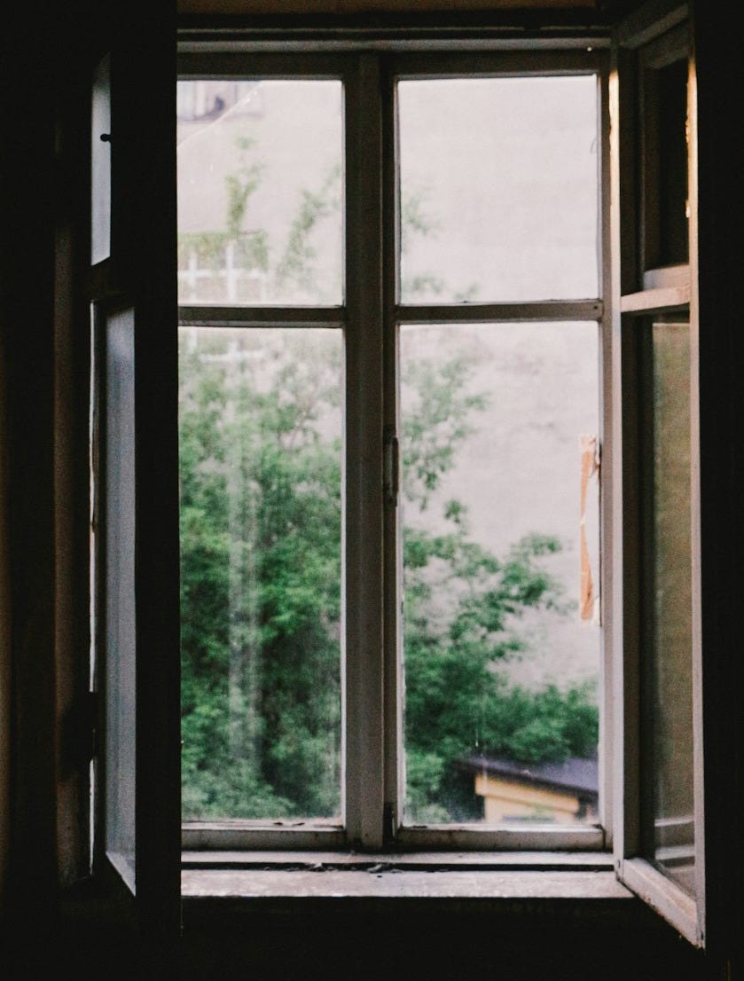 open casement window near plants