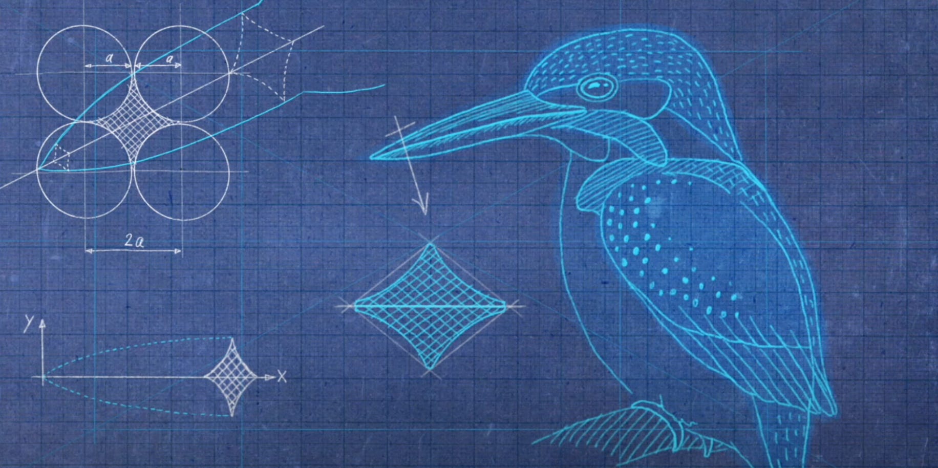 The Kingfisher's Gift: How a Bird's Beak Transformed High-Speed Rail