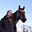 Renate Larssen's avatar