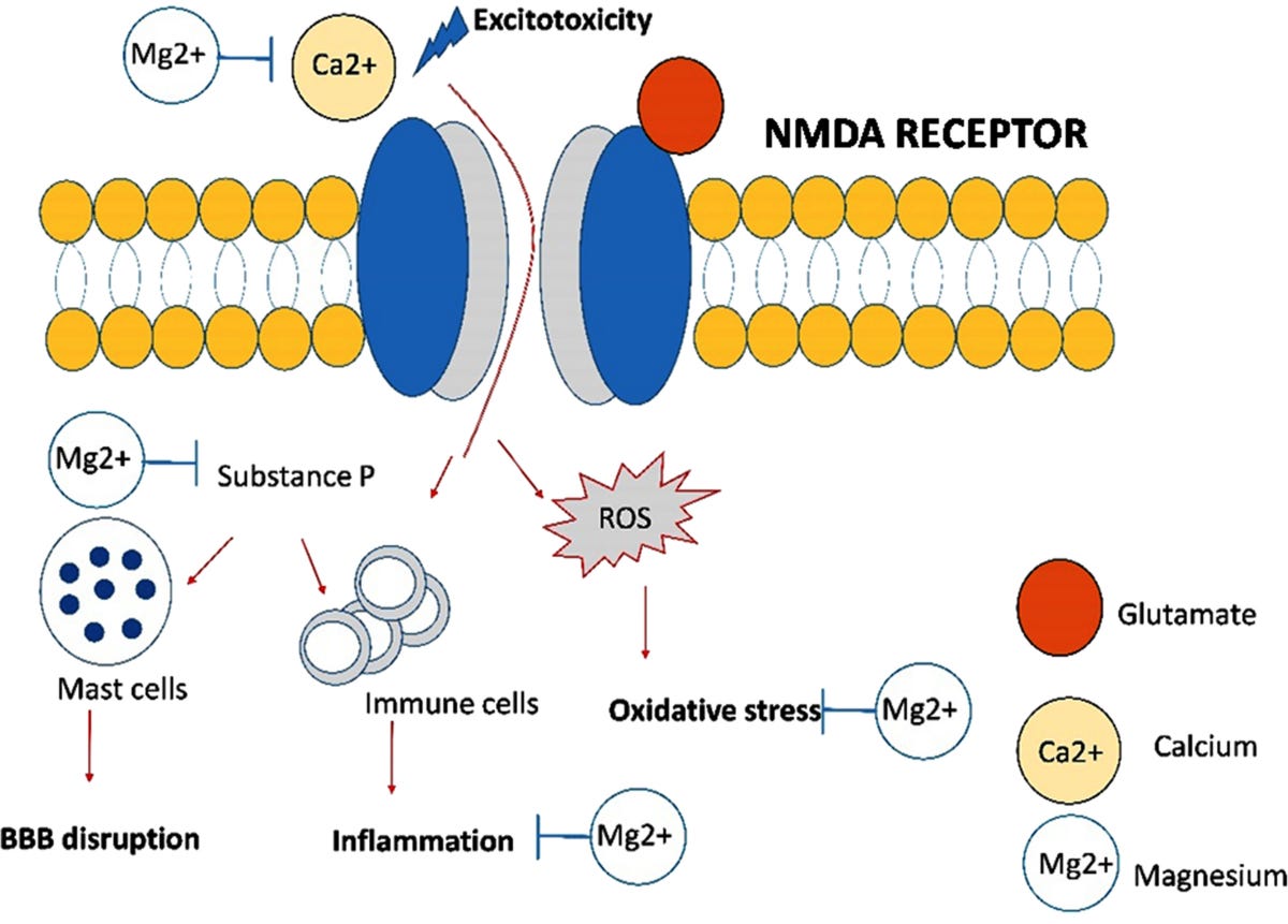 Magnesium'-the master cation-as a drug—possibilities and evidences | BioMetals | Springer Nature Link Magnesium'-the master cation-as a drug—possibilities and evidences | BioMetals | Springer Nature Link