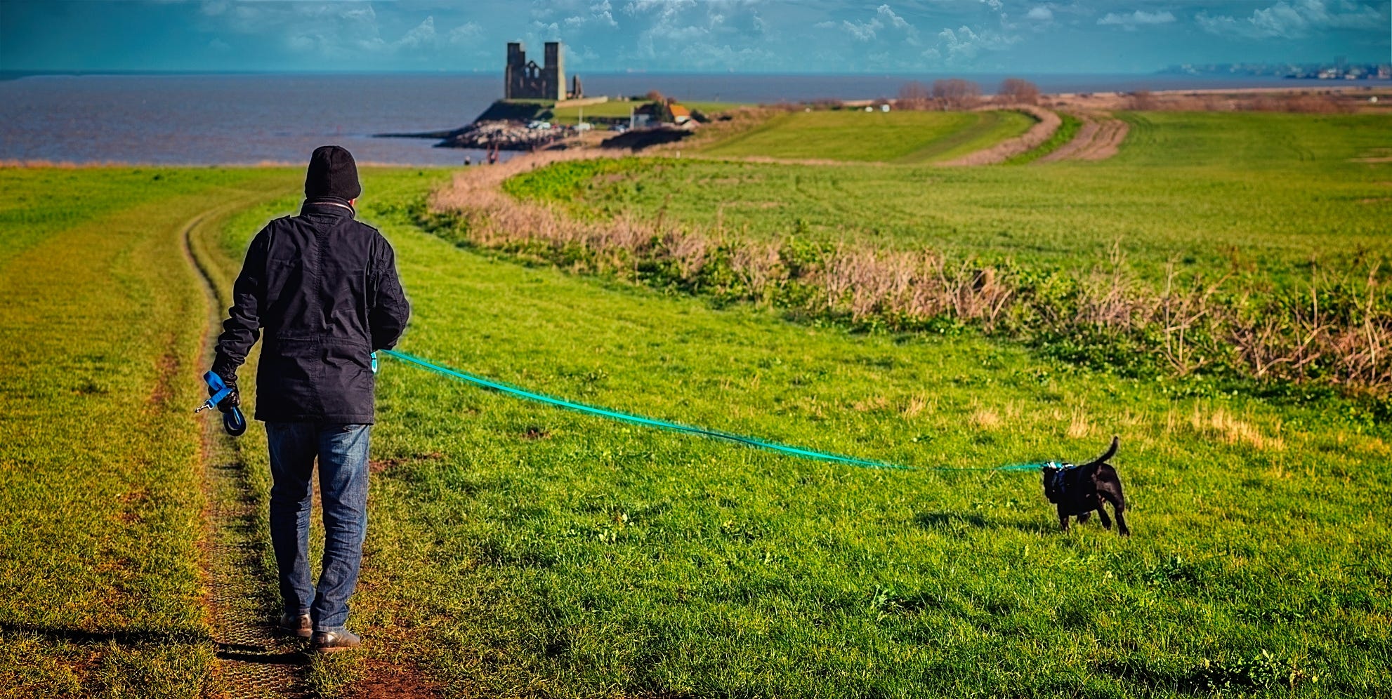 Man walking dog on long leash at Kent Towers representing Extreme Zero Drafting. Man walking dog on long leash at Kent Towers representing Extreme Zero Drafting.