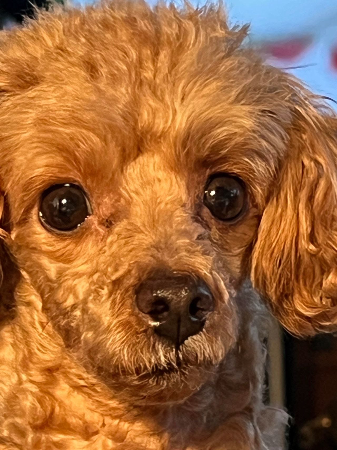 Elizabeth Taylor (ET) Elizabeth Taylor (ET)