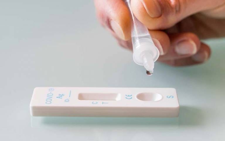 stock image of lateral flow testing stock image of lateral flow testing