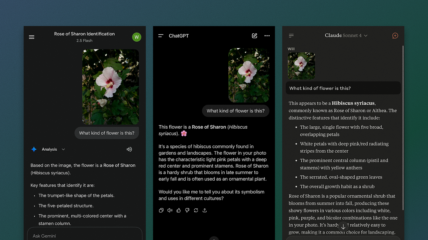 An image of Gemini, ChatGPT, and Claude iOS app chat screens.