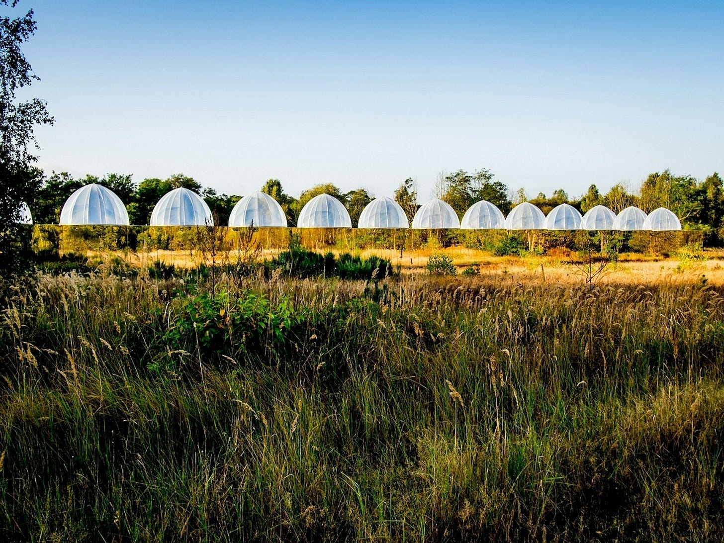Onderzoekscentrum Ecotron, Maasmechelen, noAarchitecten © Filip Dujardin