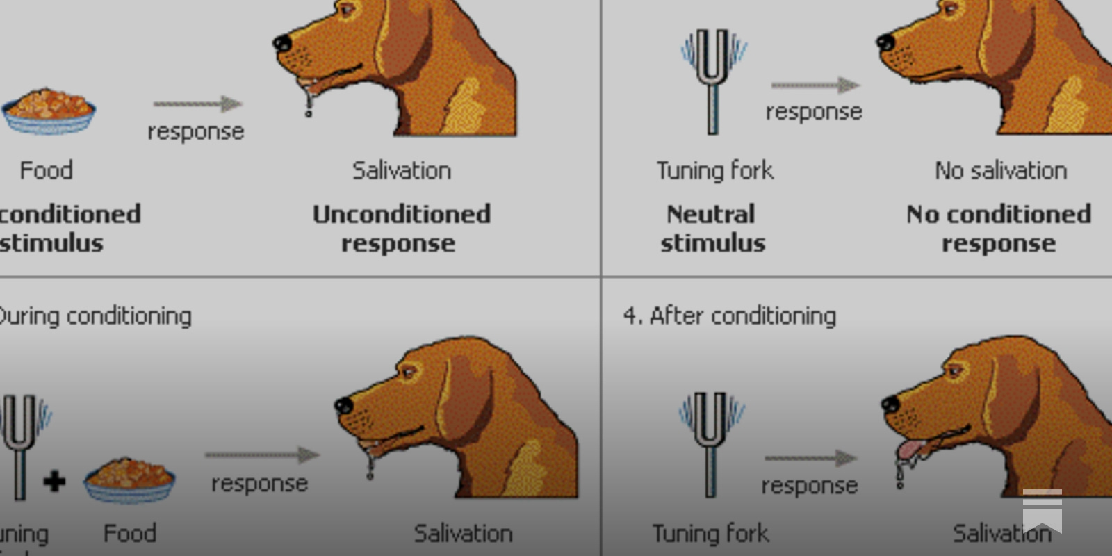 Pavlov's dog and me... - by Chris - What's The Big Idea?, image size:1600x800