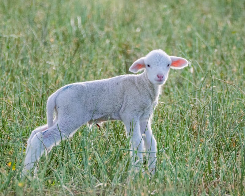 20260126-SCF-877-Edit.jpg 20260126-SCF-877-Edit.jpg