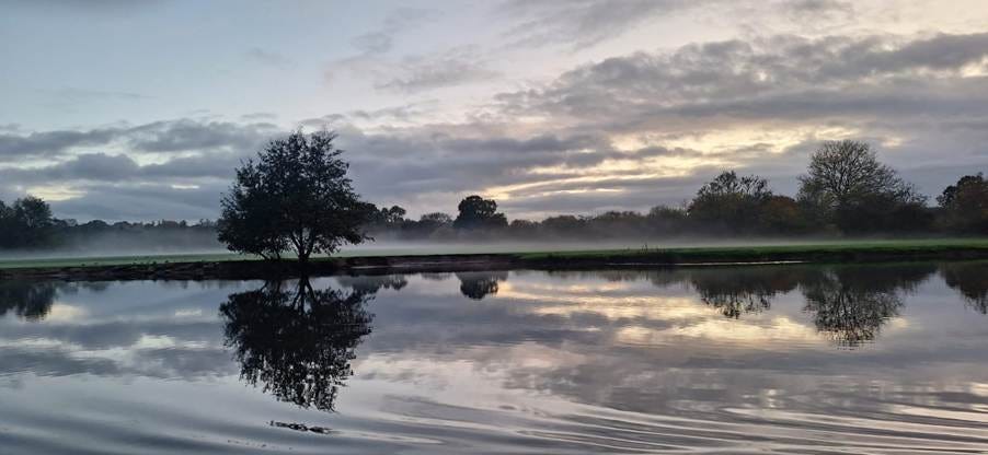 A body of water with trees and clouds in the sky

AI-generated content may be incorrect.