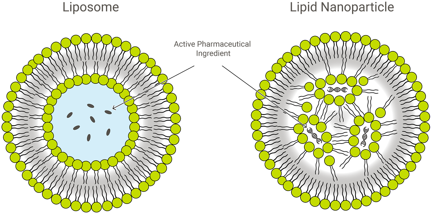 Liposome and LNP_green_simple@4x-1 Liposome and LNP_green_simple@4x-1