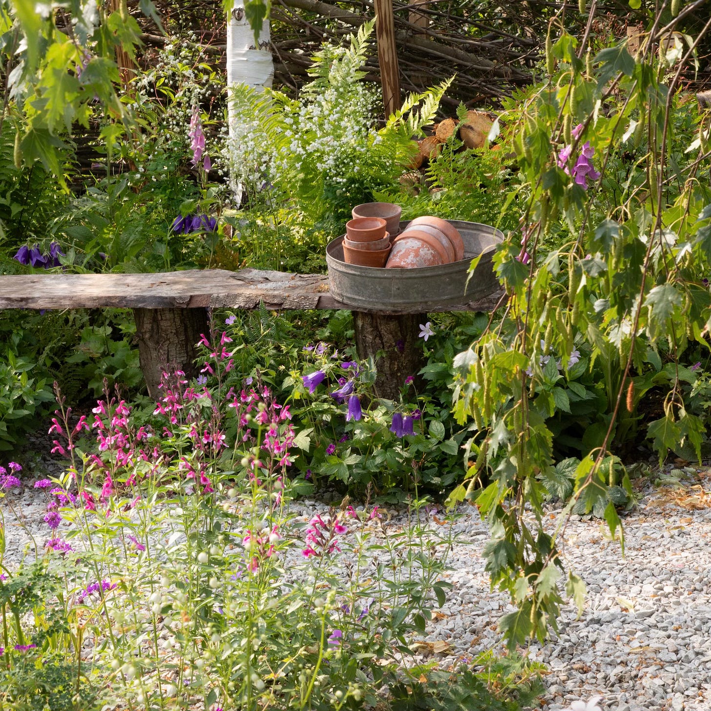 A pretty cottage garden for wildlife designed by Jo Thompson