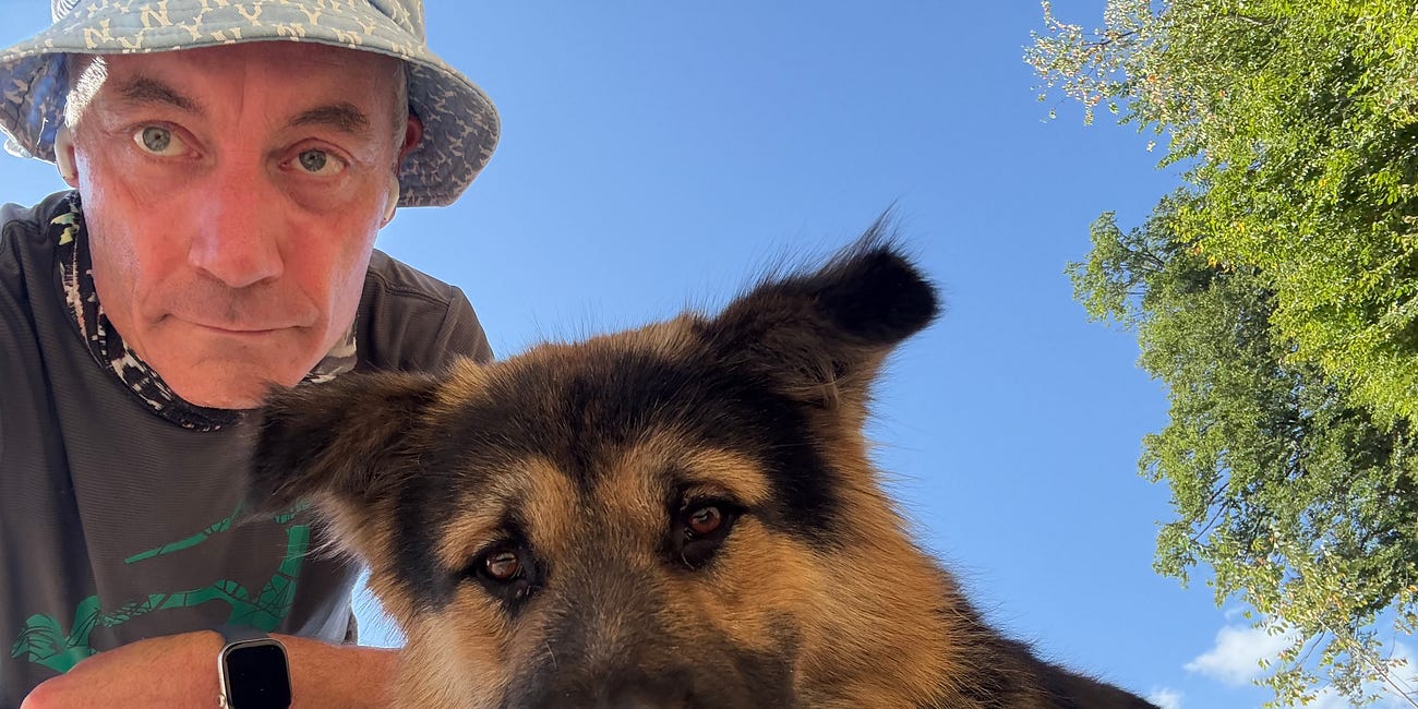 Disinfolklore’s mutating ever-twirling triple-helix designed radicalising story cycles