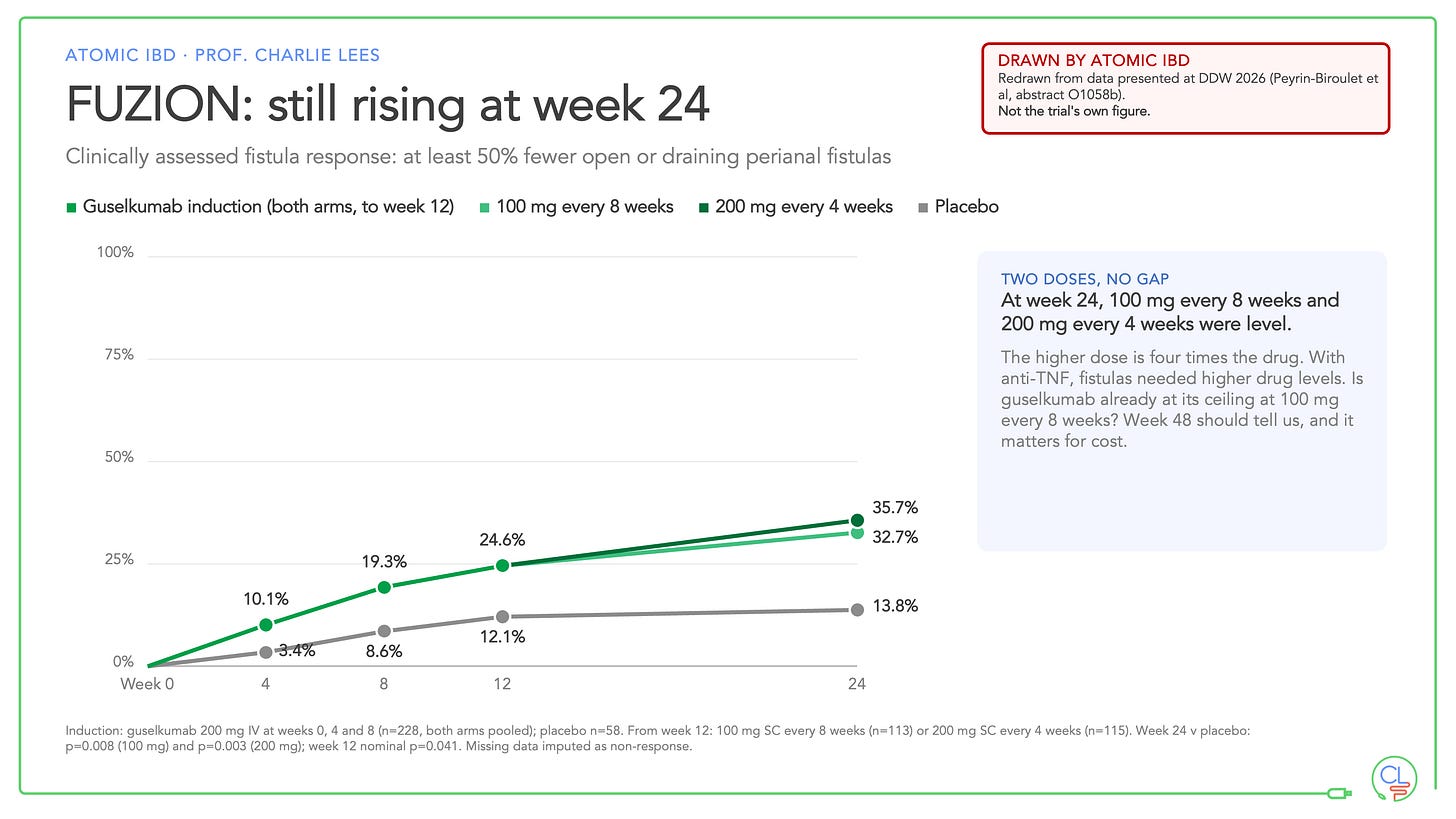 Line chart of clinically assessed fistula response. Guselkumab rises from 10.1% at week 4 to 24.6% at week 12, then 32.7% on 100 mg every 8 weeks and 35.7% on 200 mg every 4 weeks at week 24. Placebo reaches 13.8%.