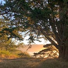 Kinship with this wild world