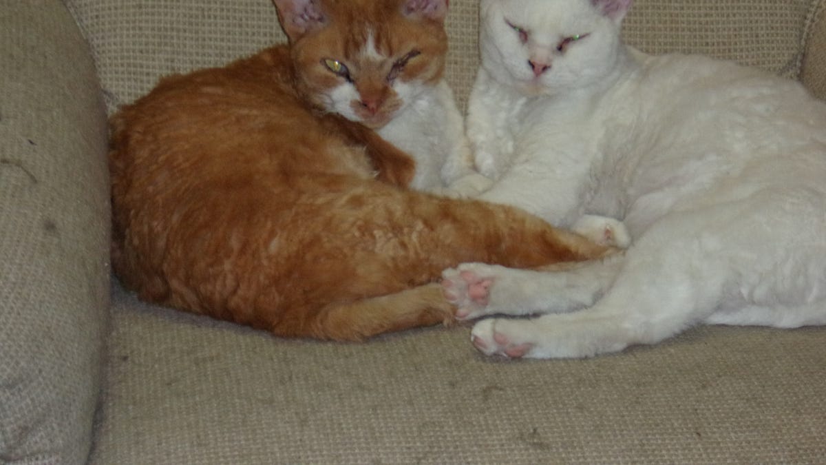 How About We *Don't* Have A Bonfire Of The Vanities Today?