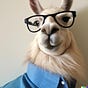 Daniel Chang's avatar