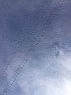 PURELY DEC 2 angel 1.JPG