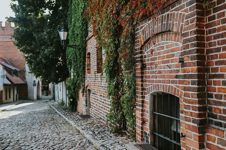 Concretely existing things. Bricks, stones, houses, matter, planets, universes.