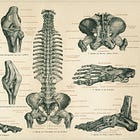 Bone Mother 
