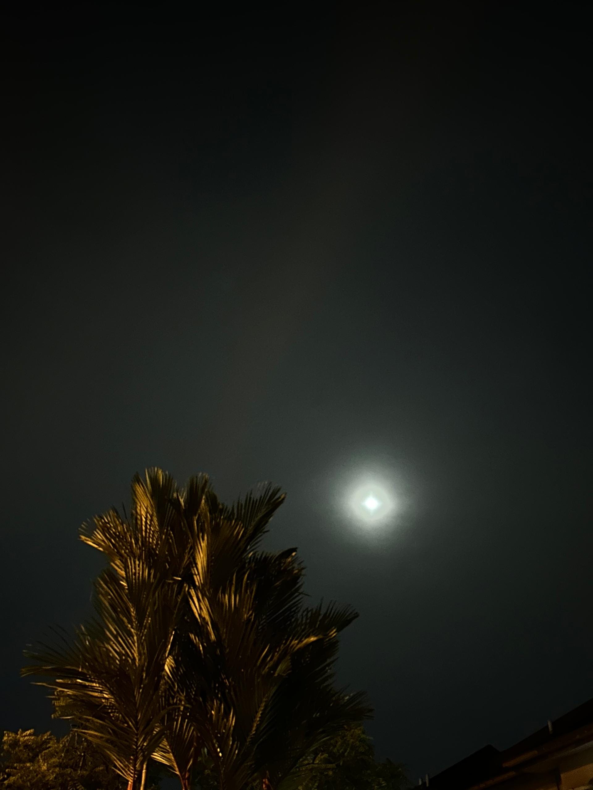 Artwork for Ameera’s Substack