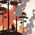 The economics of forest fire