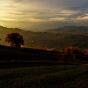 Le Marche che non ti aspetti: marchigianità, imprese e futuro tra numeri e identità