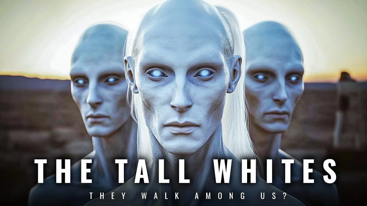 The 5 Types of Aliens People Most Frequently Say They See
