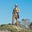 Shawn van Zyl's avatar