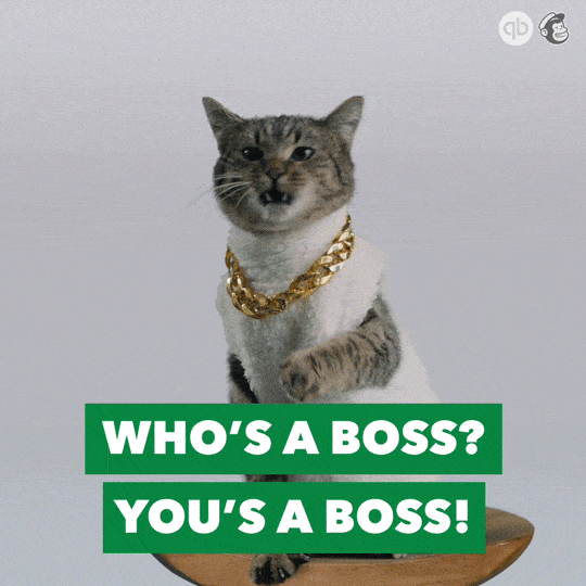 Cat with a gold chain chewing food Cat with a gold chain chewing food