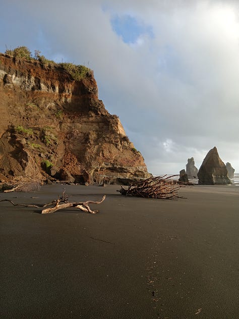 6 photos. 1. driftwood, 2 hagstone, 3. more driftwood and stacks behind, 4. swirling spume 5. a sea stack 6. wide shot stacks and sand and sea spume