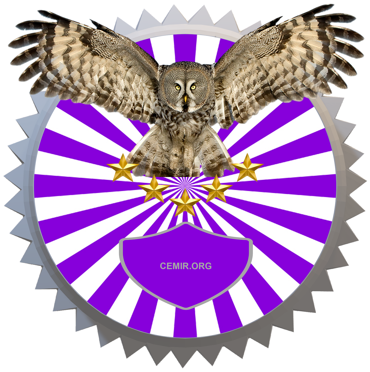 CEMIR logo - decorative