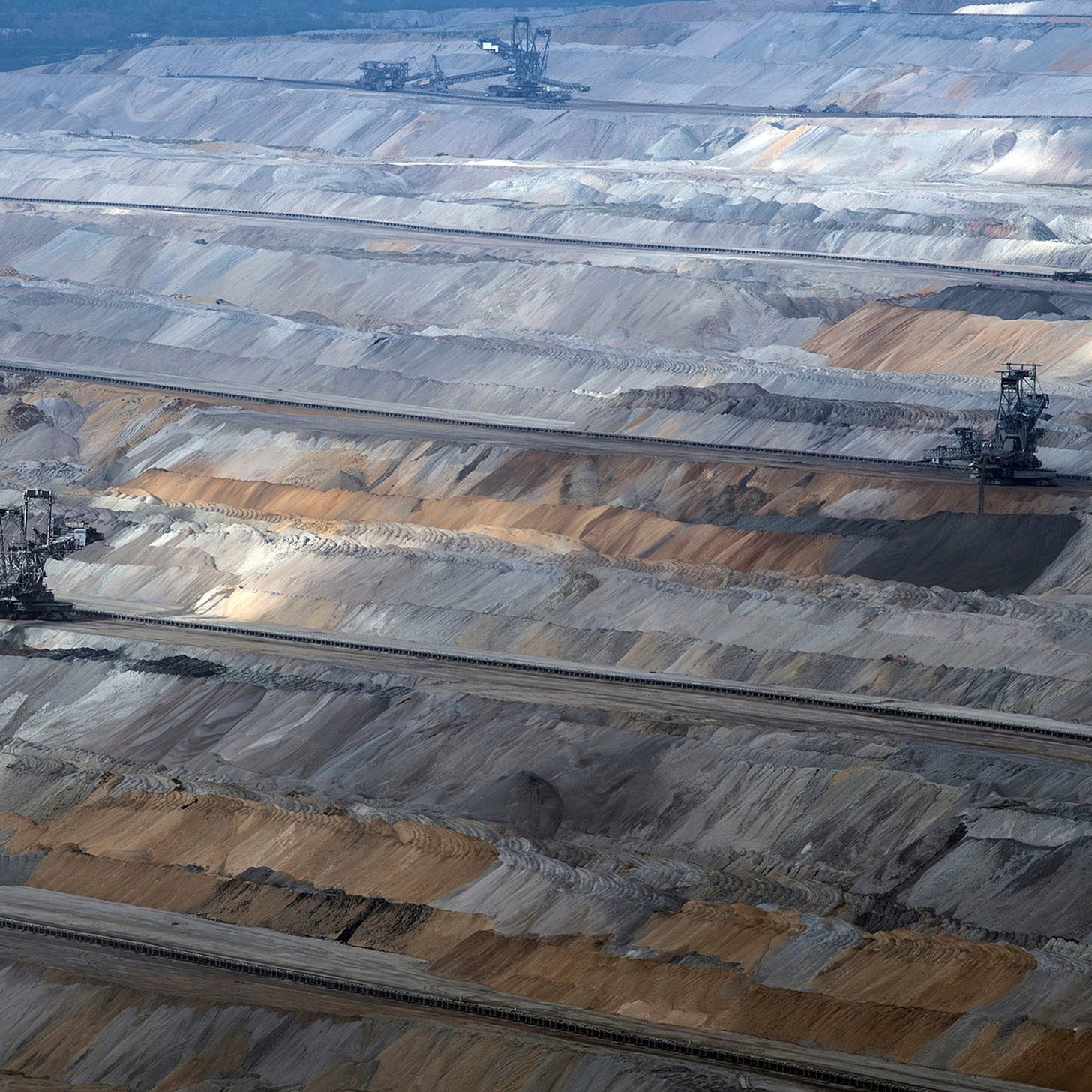 Is Germany's Hambach Forest Doomed by Coal?