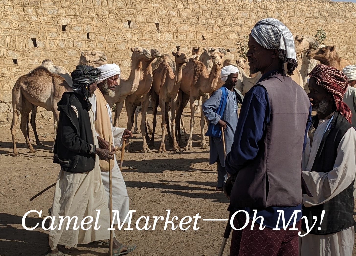 Black men wearing robes and turbans stand around a market with camels in the background. Black men wearing robes and turbans stand around a market with camels in the background.