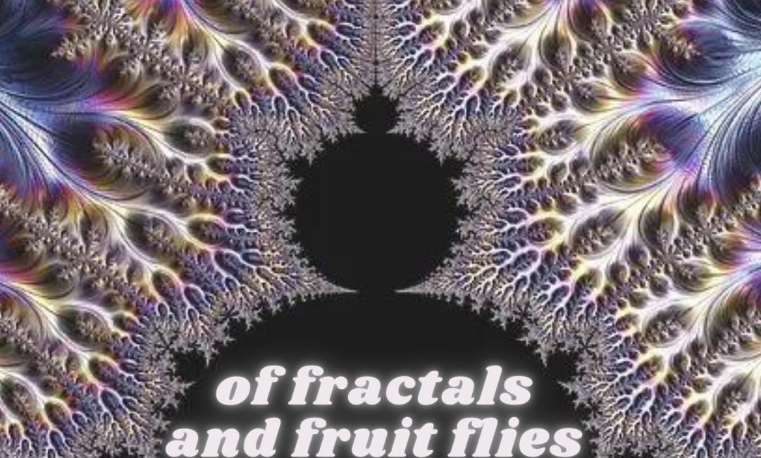 A Prose of Collective Nouns