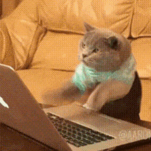 Cat Typing GIFs | Tenor Cat Typing GIFs | Tenor
