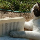 Texas Elementary Curriculum To Serve Kids Heapin' Helpin's Of Bible Stories