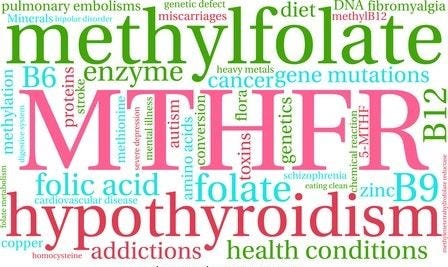 MTHFR word cloud on a white background.  Stock Vector