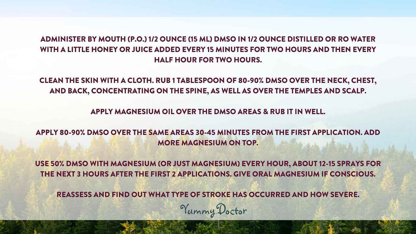 Yummy Doctor Holistic Health Education - Blog - DMSO_STROKE_PROTOCOL_DESCRIPTION