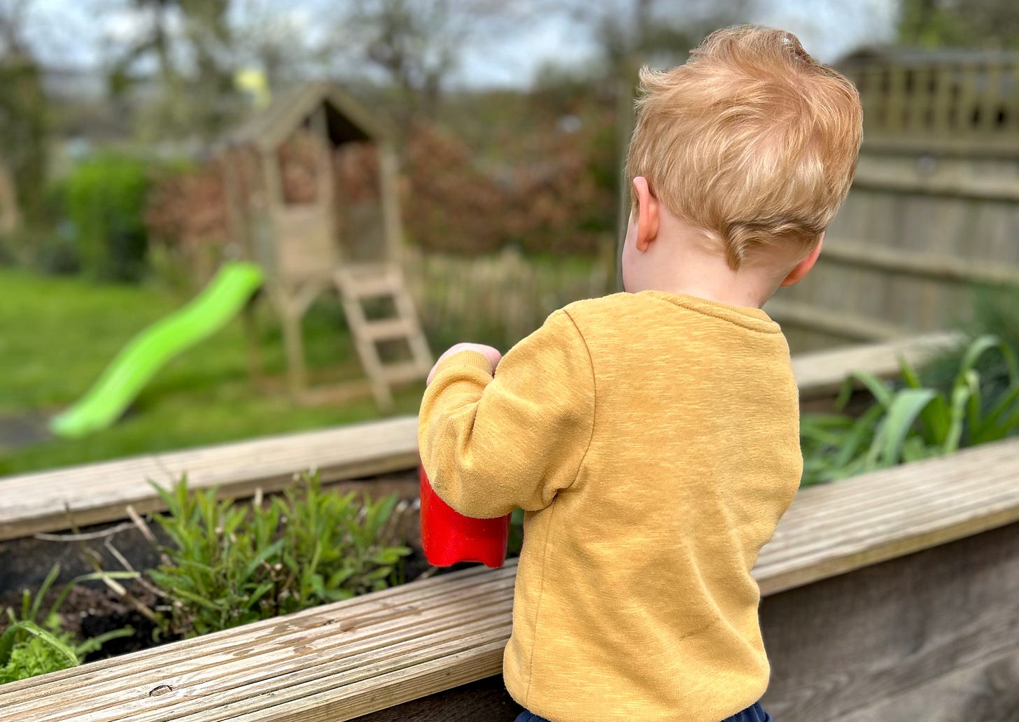 family garden, gardening with kids, grass, wood decking, watering can, plants, herbs.