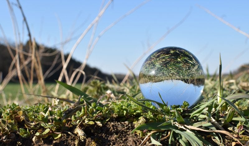 The Social Pole Switch - Brownstone Institute