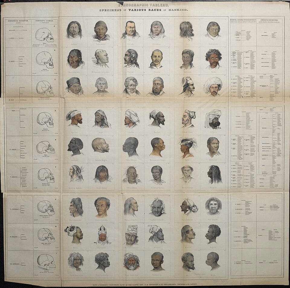 File:Nott's 1857 "Ethnographic Tableau. Specimens of Various Races of Mankind".jpg File:Nott's 1857 "Ethnographic Tableau. Specimens of Various Races of Mankind".jpg